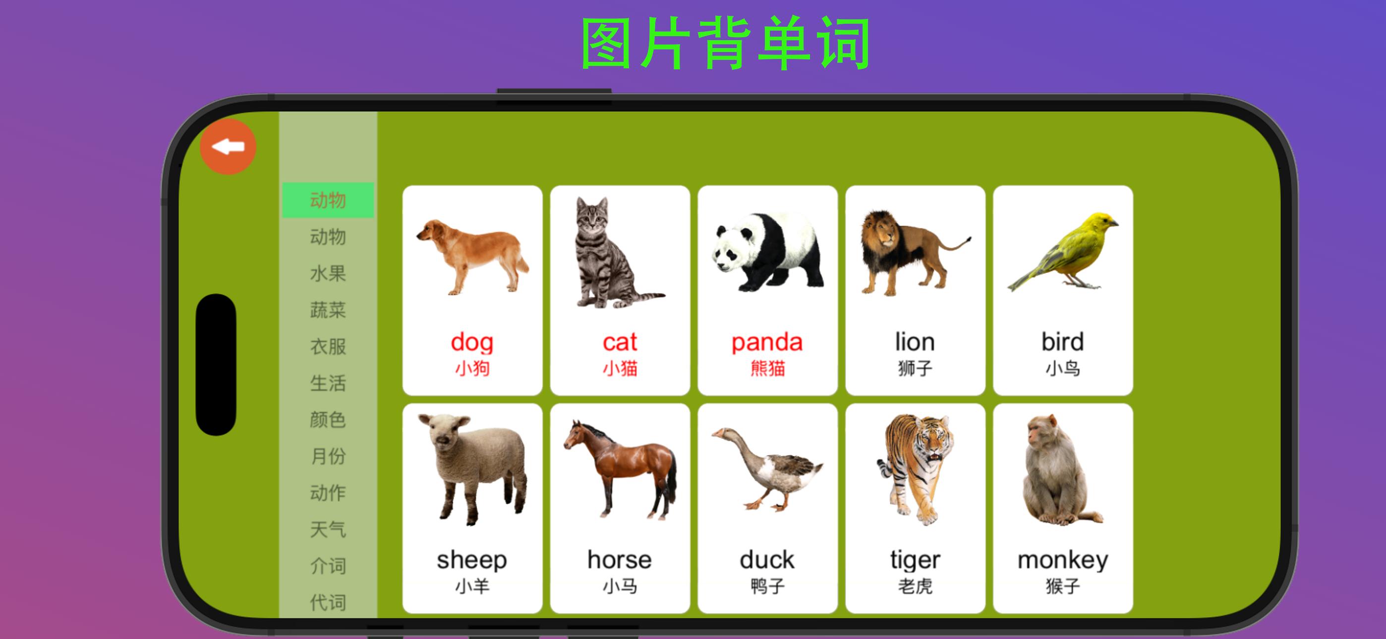 河马背单词 截图 10