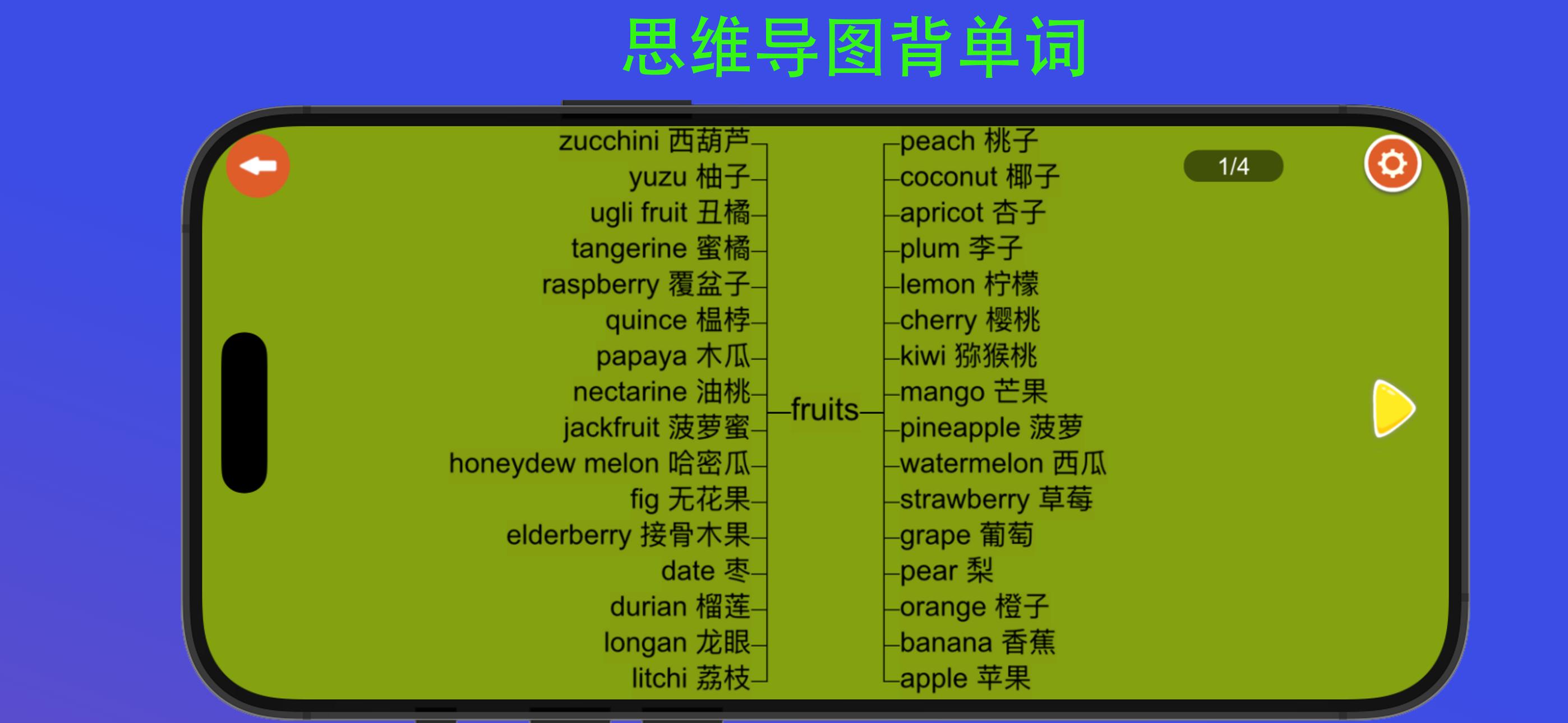 河马背单词 截图 2
