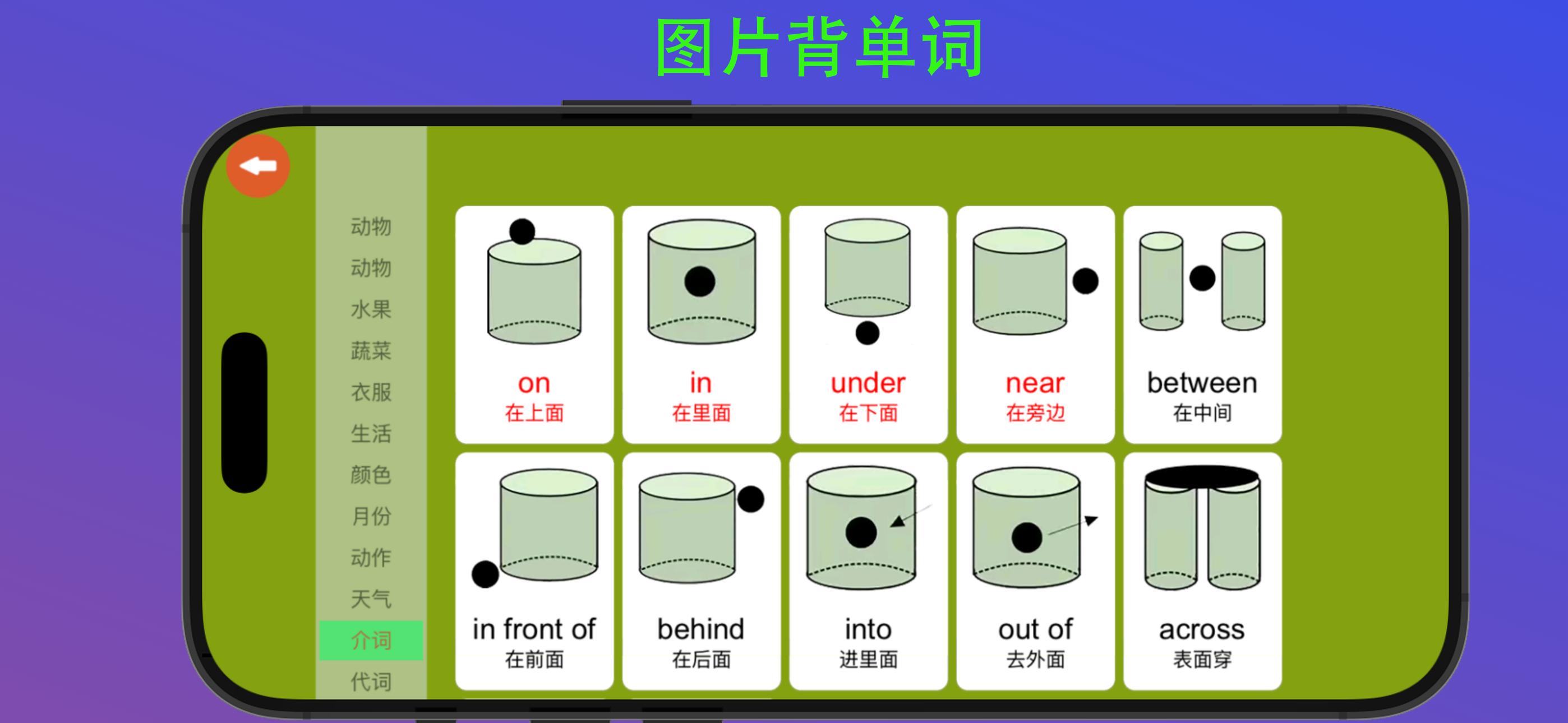 河马背单词 截图 3